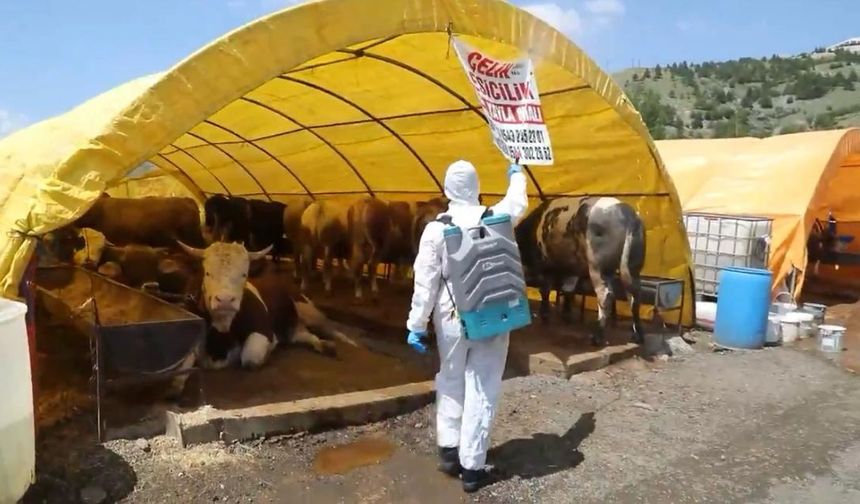 Çankaya'da kurban satış ve kesim alanları hazır!
