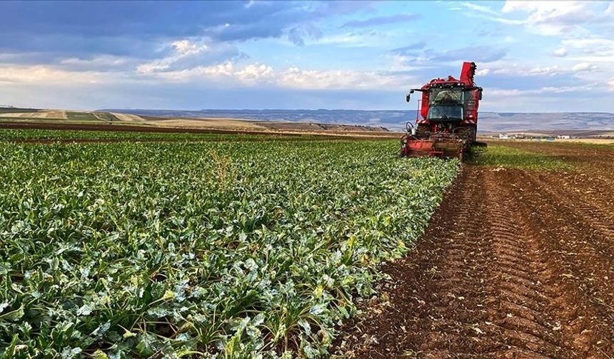 ABB ve Beypazarı Belediyesinden çiftçilere nakit desteği