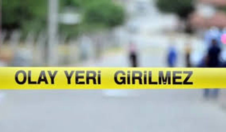 Çıkan kavgada başına darbe aldı