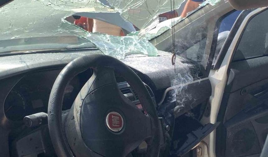 Cep telefonu bataryası yangına neden oldu