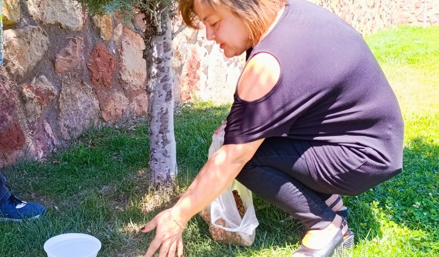 SOKAK HAYVANLARINA SU VE MAMA BIRAKTILAR