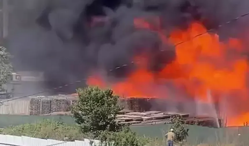 Palet depolama sahasında yangın çıktı