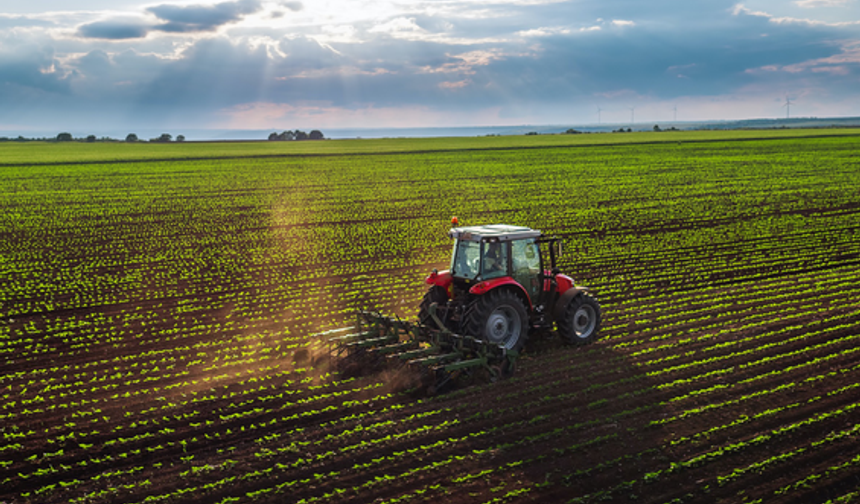 Anadolu Tarım İşletmesi Müdürlüğü 327 ton buğday satacak