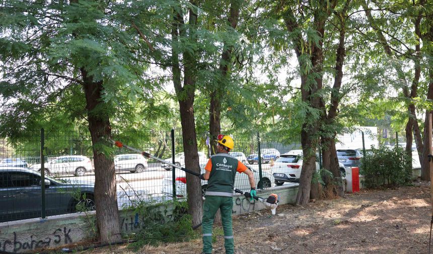 Çankaya'nın Parklarında Yaz Mesaisi!