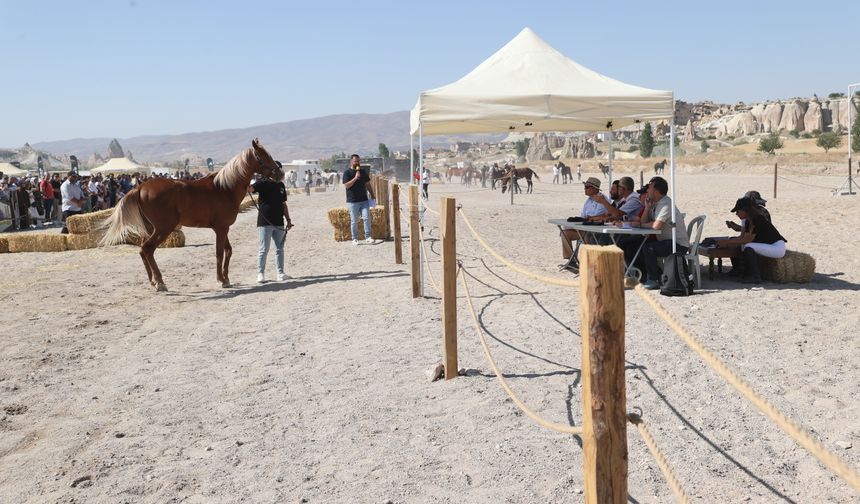 Kapadokya’da At Güzellik Yarışması Düzenlendi