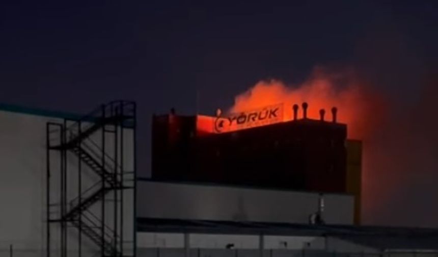 Ankara OSB'de Korkutan Yangın