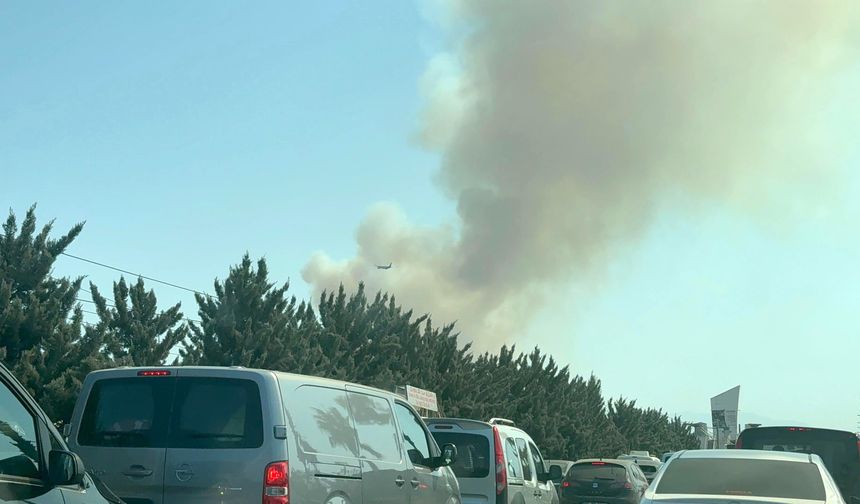 Antalya'da 2 ayrı orman yangını!