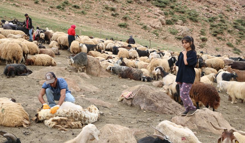 Berivanların yaylaya atlı yolculuğu