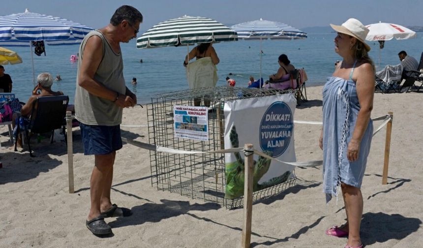 Kuşadası'nda yılın ilk caretta caretta yuvası!