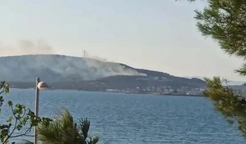 Balıkesir'deki orman yangını söndürüldü