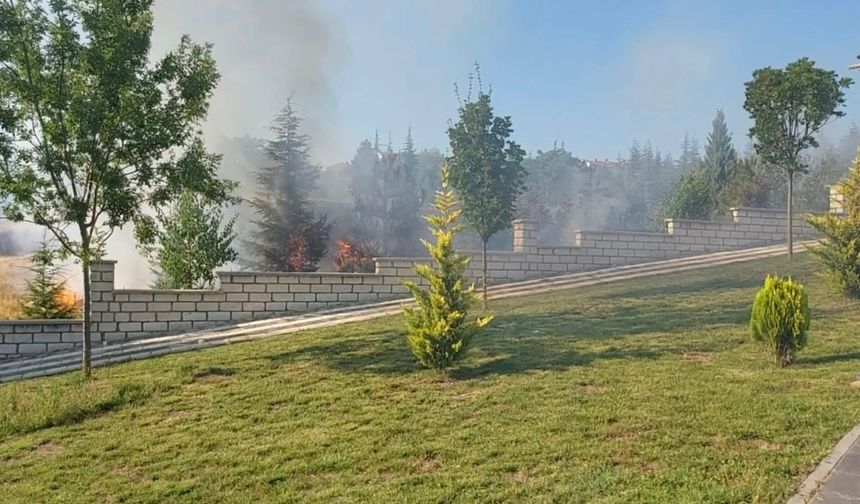 Eskişehir cayır cayır yanıyor!