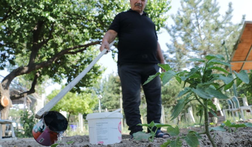 Huzurevinde ürün yetiştirip, mutlu oluyorlar