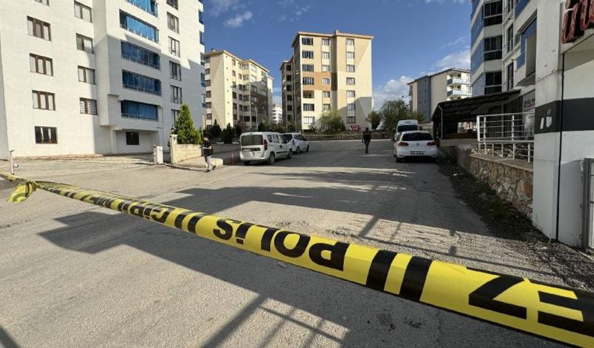 Bingöl'de 2 eve saldırı!