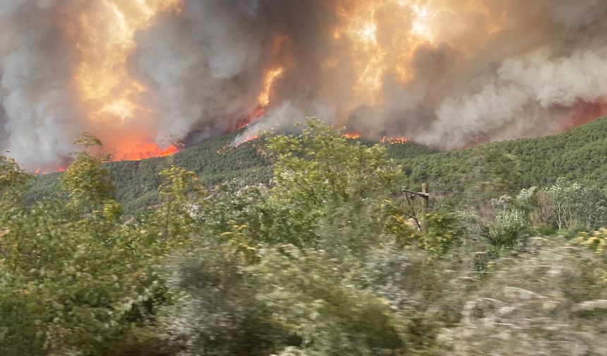 Geyve’de Yangınla İlgili Paylaşım Yapan YRP’li Meclis Üyesi Gözaltına Alındı!