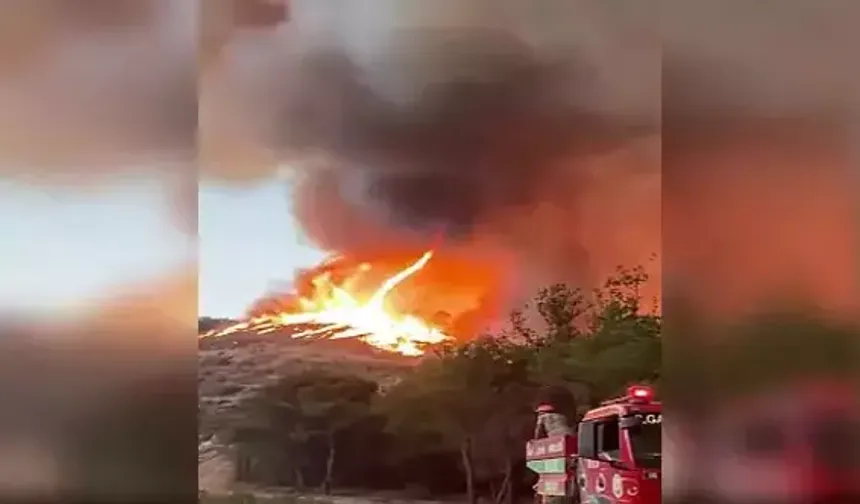 Orman yangınında ateş hortumu oldu
