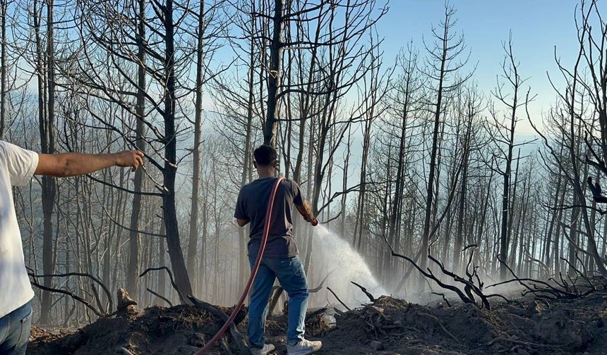 Sakarya'da yangın çıktı