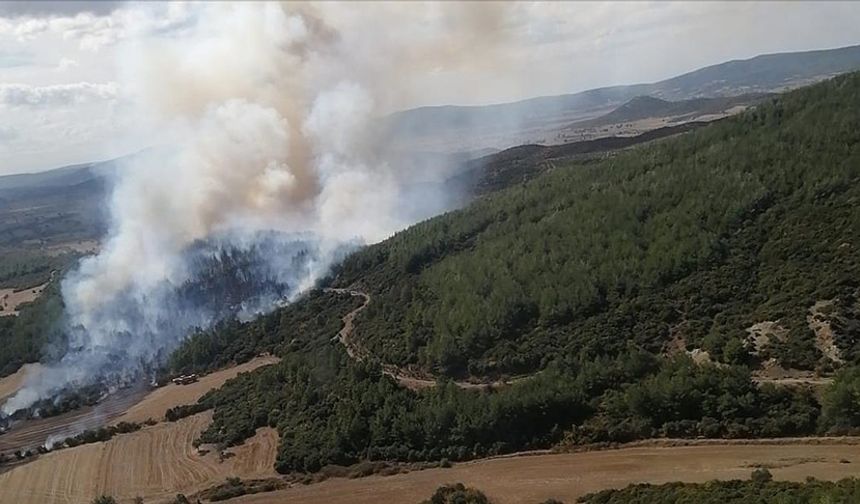 Çanakkale Lapseki’de Orman Yangını