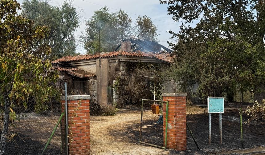 Orman yangınları sebebiyle 10 binden fazla kişi tahliye edildi