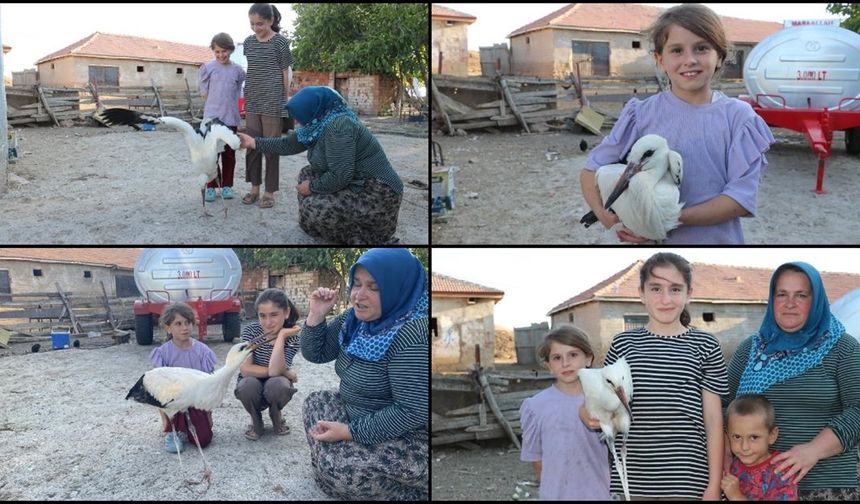 Yaralı leylek 'Su'ya Yozgatlı aile sahip çıktı