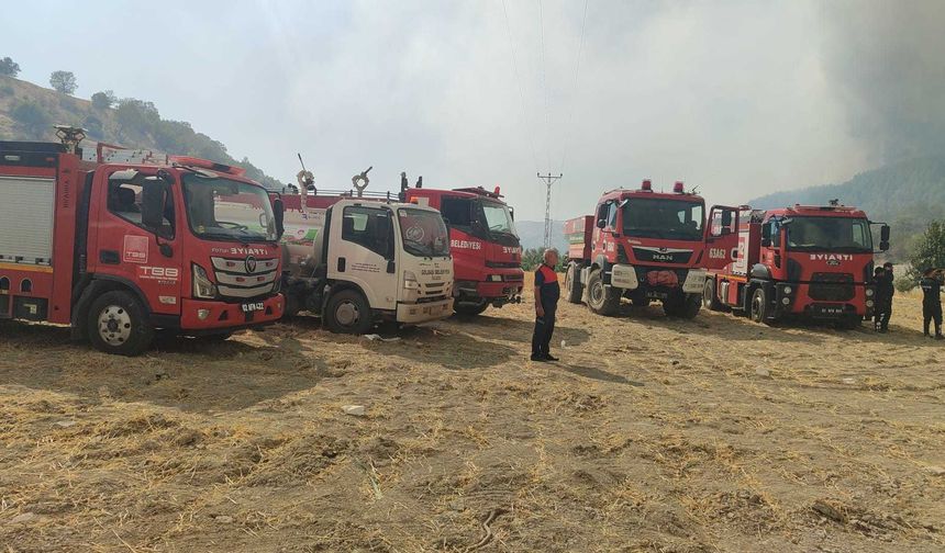 Adıyaman'da Orman Yangını