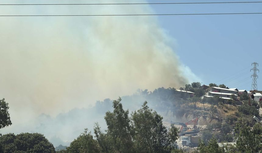 Muğla'da maki yangını