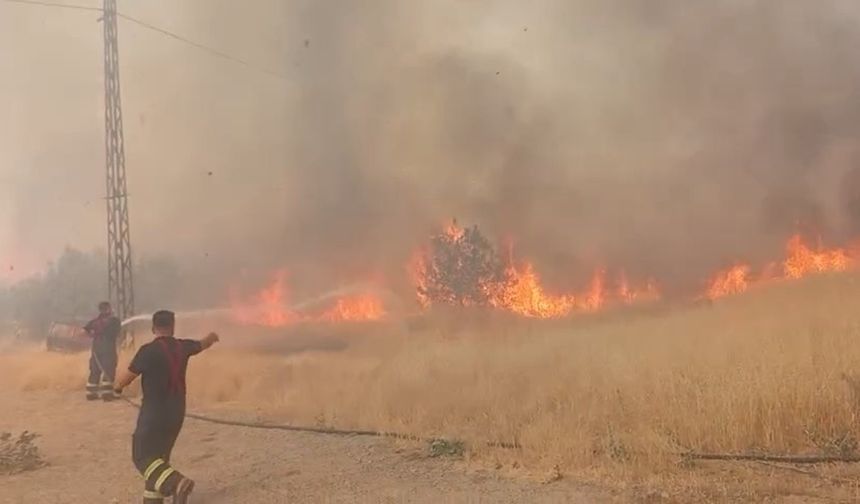 Şırnak'ta örtü yangını çıktı!