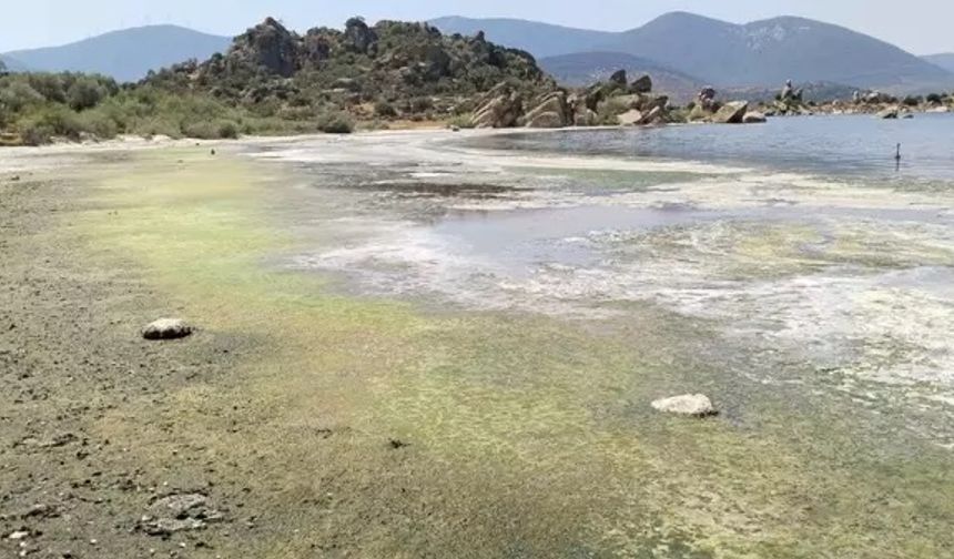 Bafa Gölü kirlilik alarmı verdi