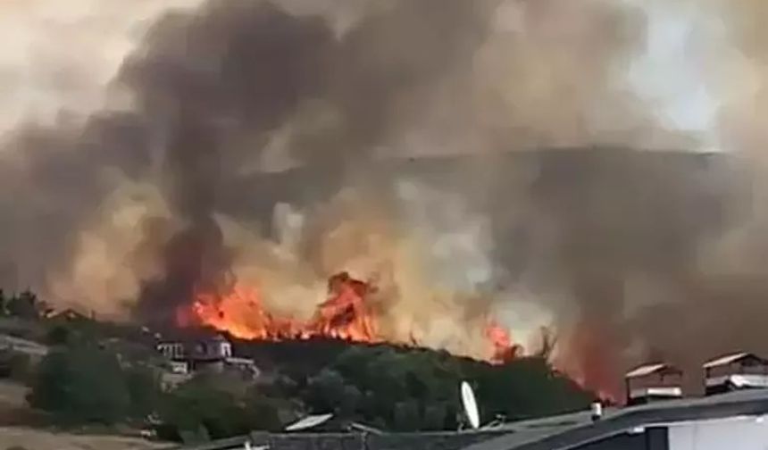 Kocaeli'de ot yangını çıktı!