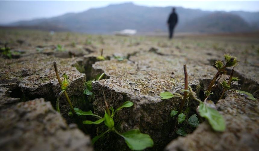 Karadeniz'in dijital ikiziyle ekosistem korunacak