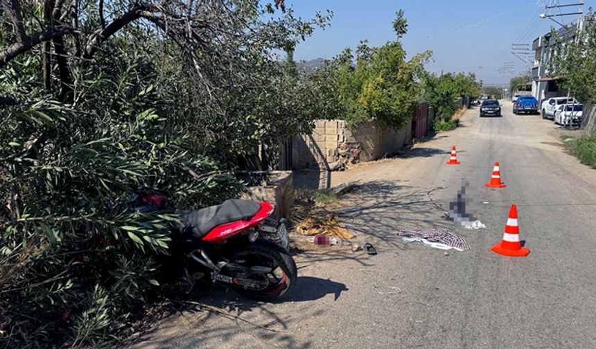 Hatay'da panikleten kaza