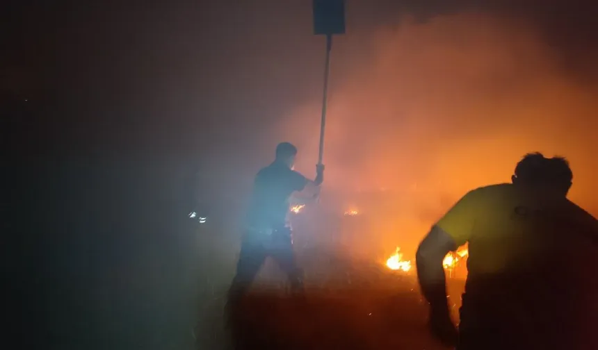 Niğde'de yangın söndürüldü