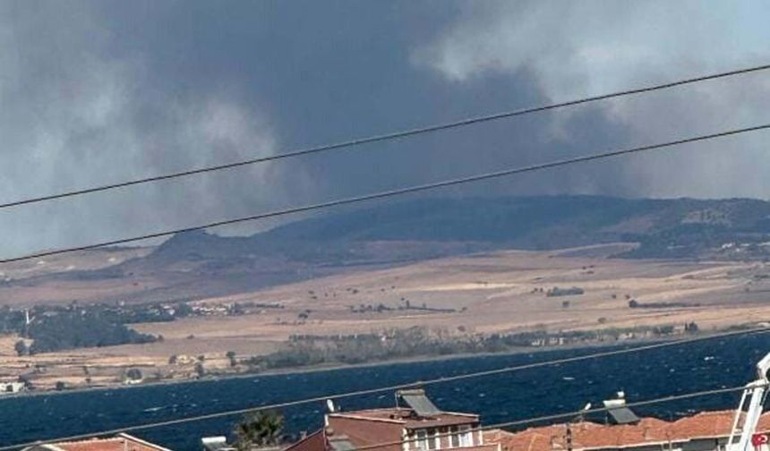 Çanakkale'de orman yangını