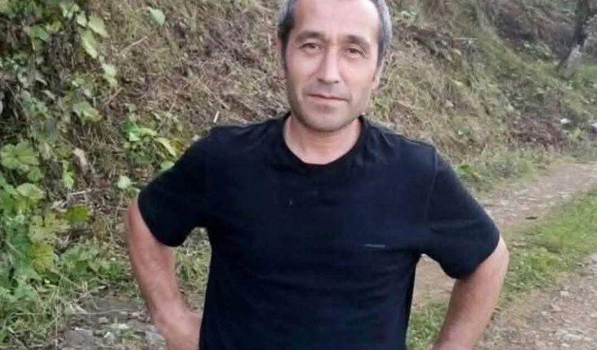 Giresun’da Fındık Patozu Yüklü Kamyon Uçuruma Yuvarlandı: 1 Ölü