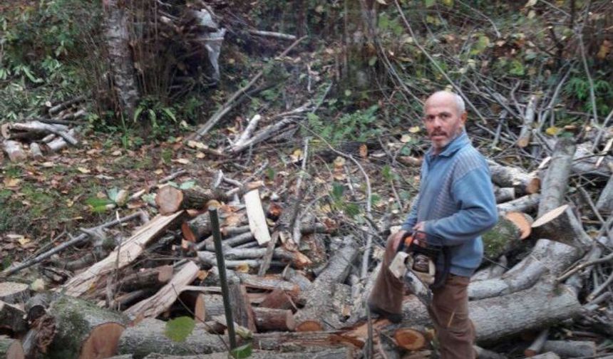 Kestiği ağacın altında can verdi!