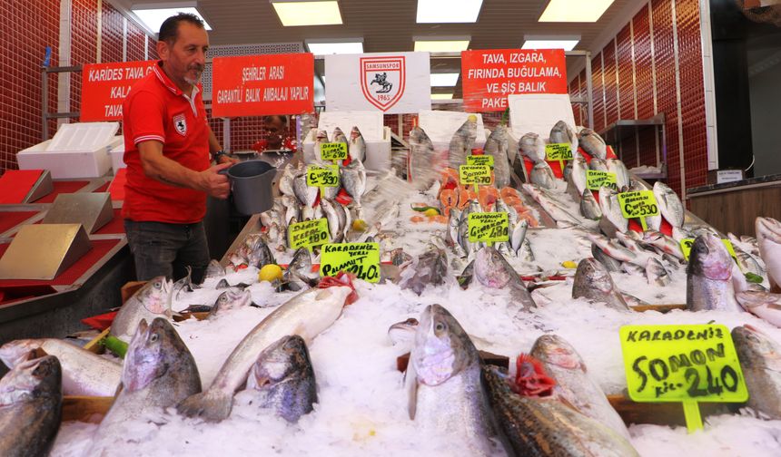 Samsun'da ilk balıklar tezgaha çıktı!