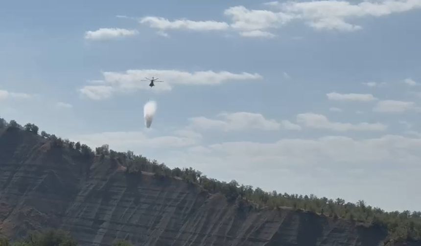 Şırnak'ta orman yangınına müdahale ediliyor