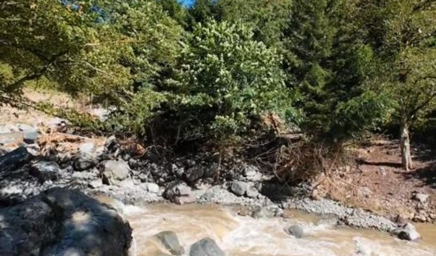 Tarihi taş köprü selde yıkıldı