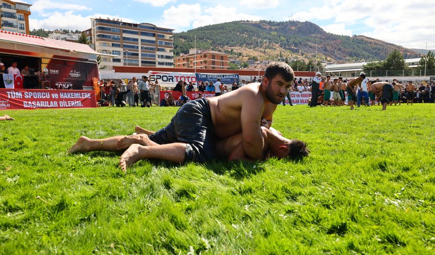 Tokat’ta Ali Yücel Yağlı Pehlivan Güreşleri Başladı