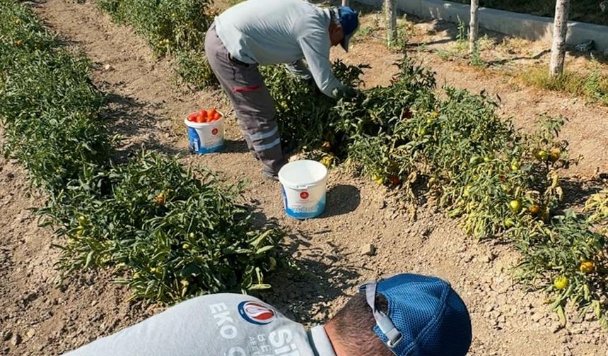 Sincan Belediyesi'nden İhtiyaç Sahiplerine Yardım!