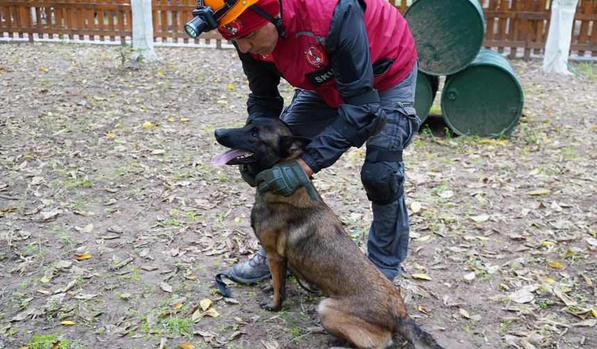 Antalya’nın İlk Enkaz Arama Köpeği ‘Tina’ Sertifikasını Aldı