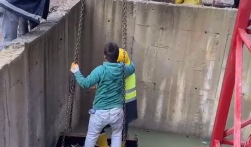 Bartın'da İnşaat Çukuruna Düşen Tilki İşçiler Tarafından Kurtarıldı