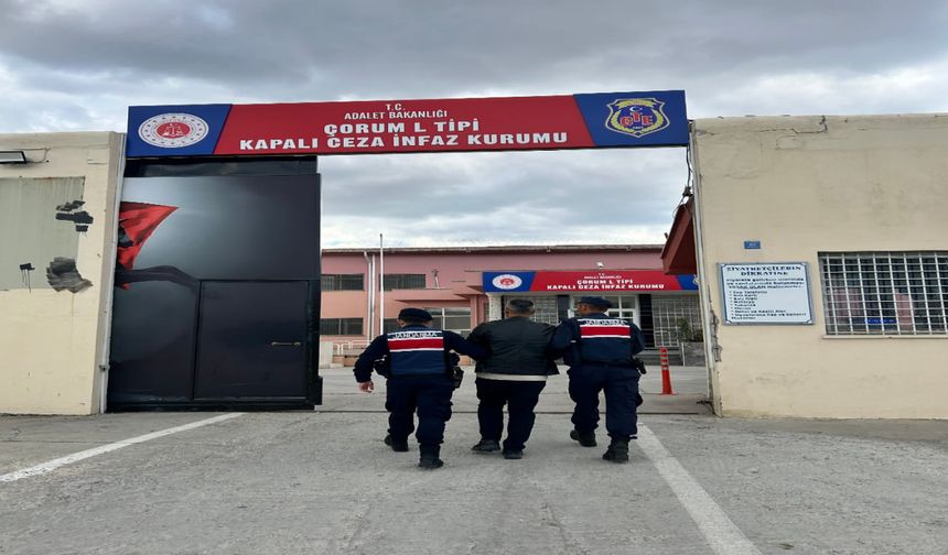 Çorum'da depo yangınına ilişkin 1 kişi tutuklandı