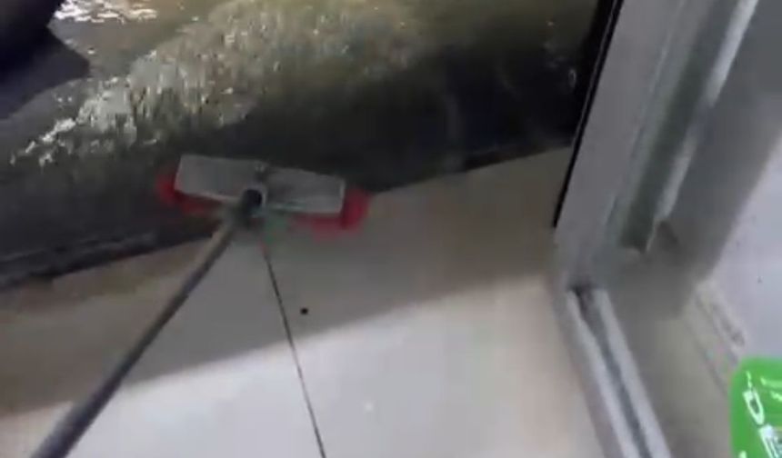 İzmir ve Manisa'da sağanak