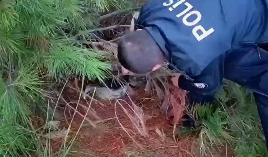 Kaçak avcılık yapan şüpheliye gözaltı