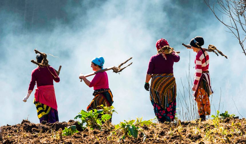 Karadeniz'in nemindeki sinsi tehlike!