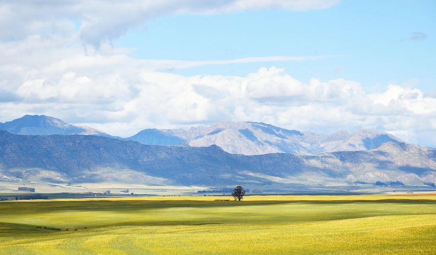'Magmatik kayaçlardan oluşan zeminler deprem etkisini sınırlıyor'