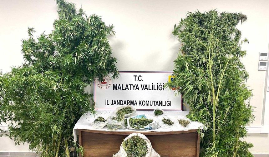 Malatya’da Jandarma Uyuşturucu Operasyonunda 5 Şüpheli Tutuklandı