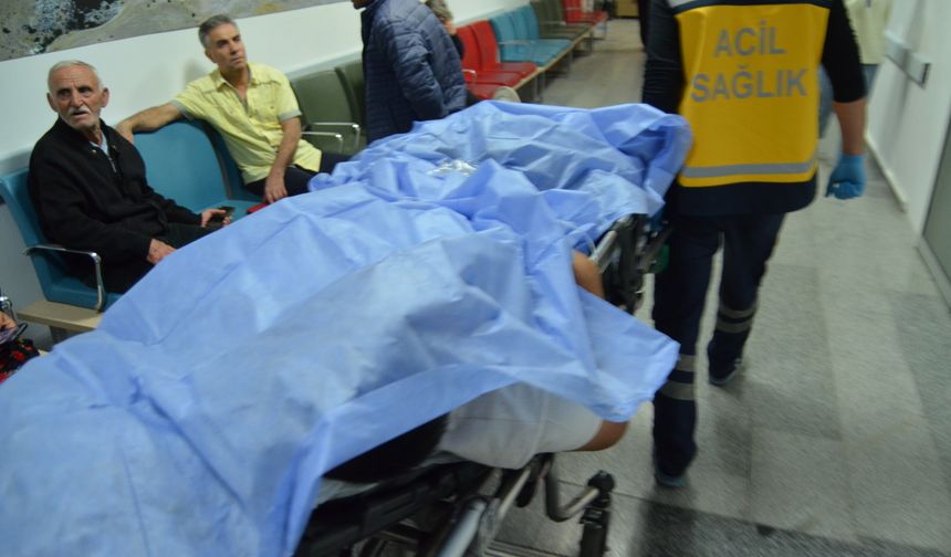 Otostop çektikleri aracın sürücüsünü darp ettiler!