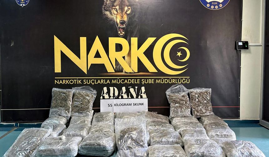 TIR'daki valizlerden 55 kilo skunk çıktı!