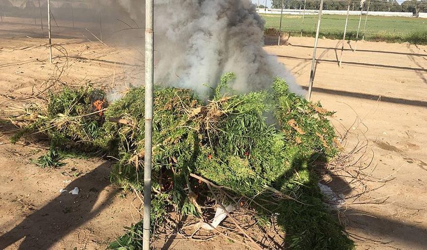 Mersin'de uyuşturucu operasyonu